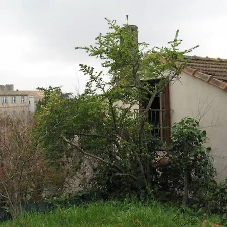 Le Figuier Hébergement de vacances Carcassonne