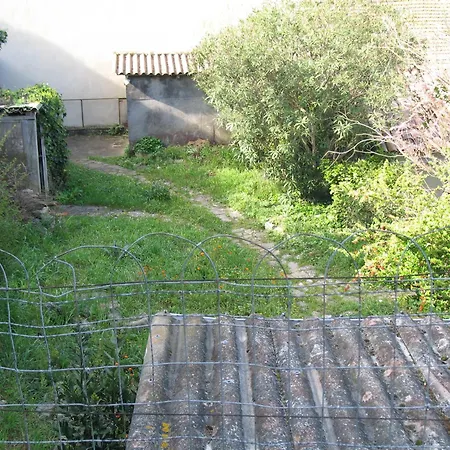 Le Figuier Hébergement de vacances Carcassonne